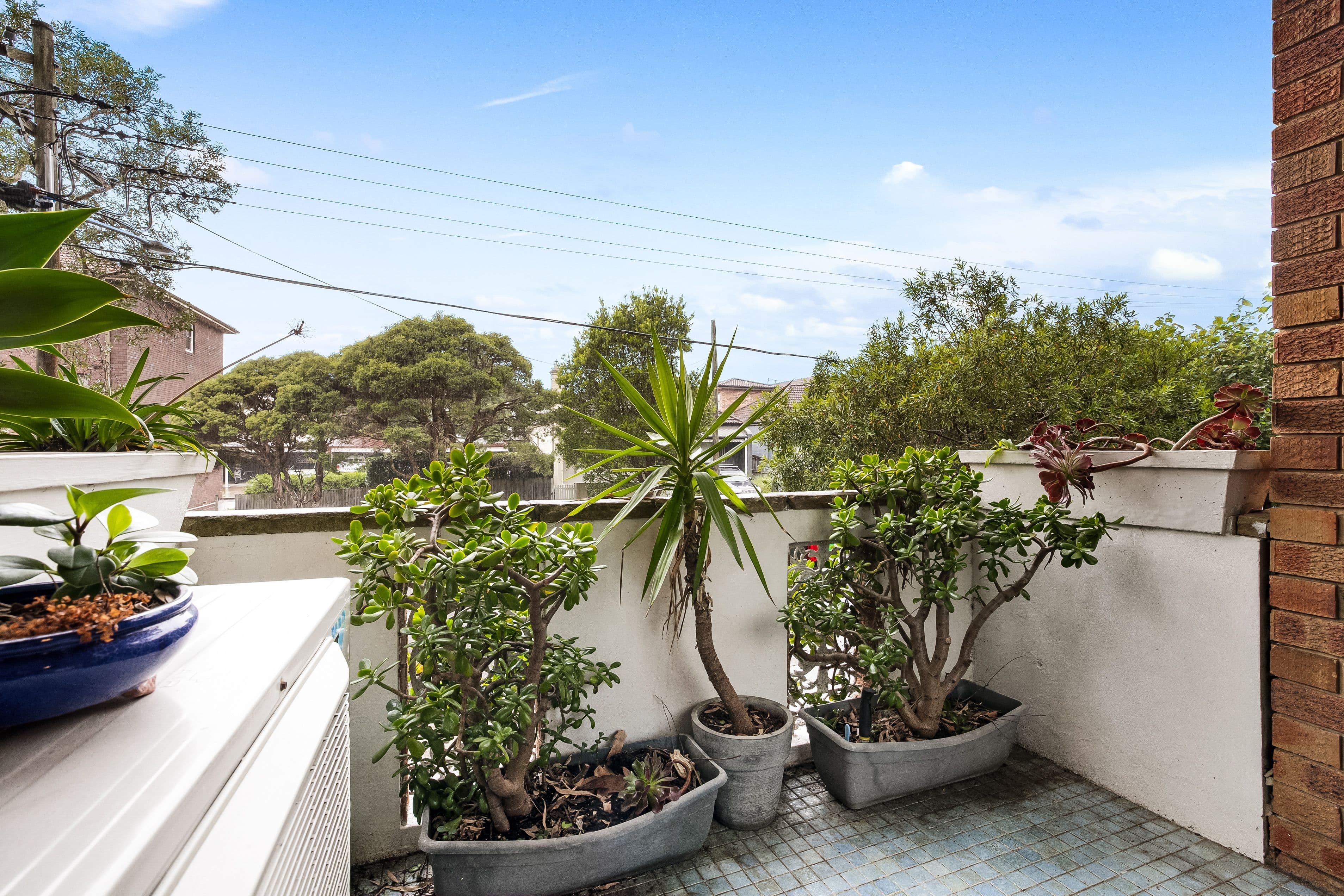94 Frenchmans Road, Randwick NSW 2031, Randwick - Thumbnail 3