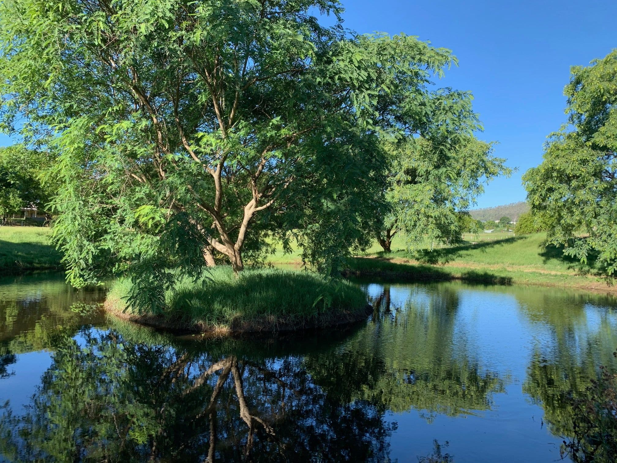 23 Siratro Court, Veresdale Scrub QLD 4285, Veresdale Scrub - Image 1