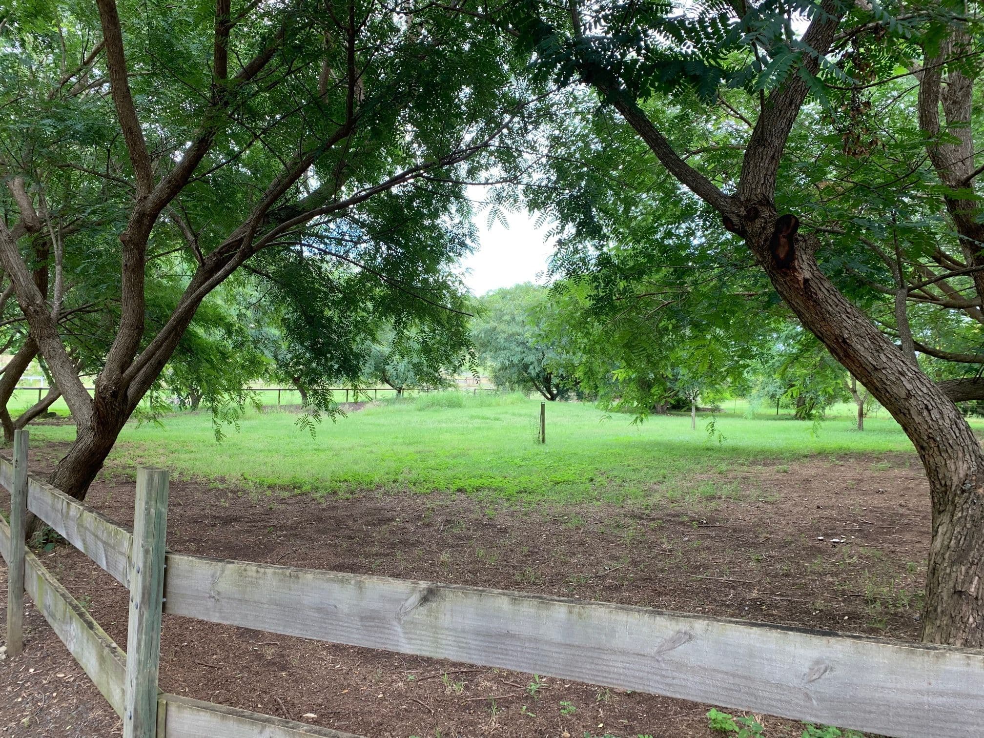23 Siratro Court, Veresdale Scrub QLD 4285, Veresdale Scrub - Thumbnail 4