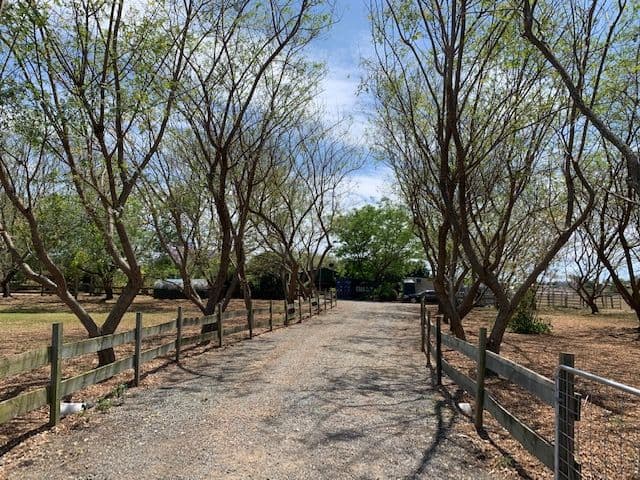 23 Siratro Court, Veresdale Scrub QLD 4285, Veresdale Scrub - Thumbnail 5