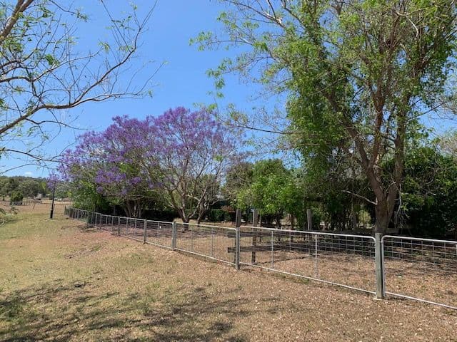 23 Siratro Court, Veresdale Scrub QLD 4285, Veresdale Scrub - Thumbnail 6