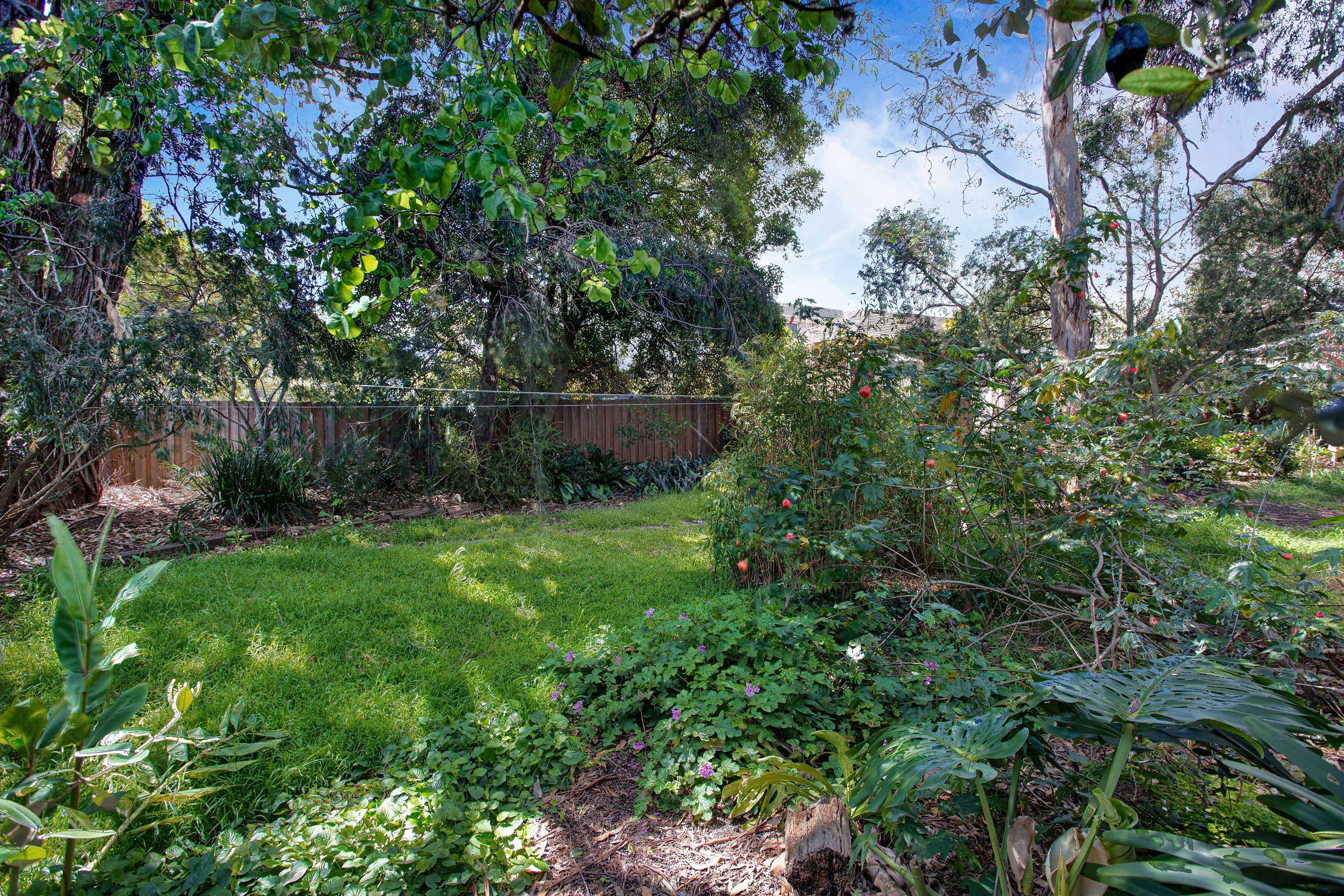 42 Staughton Road, Glen Iris VIC 3146, Glen Iris - Thumbnail 3