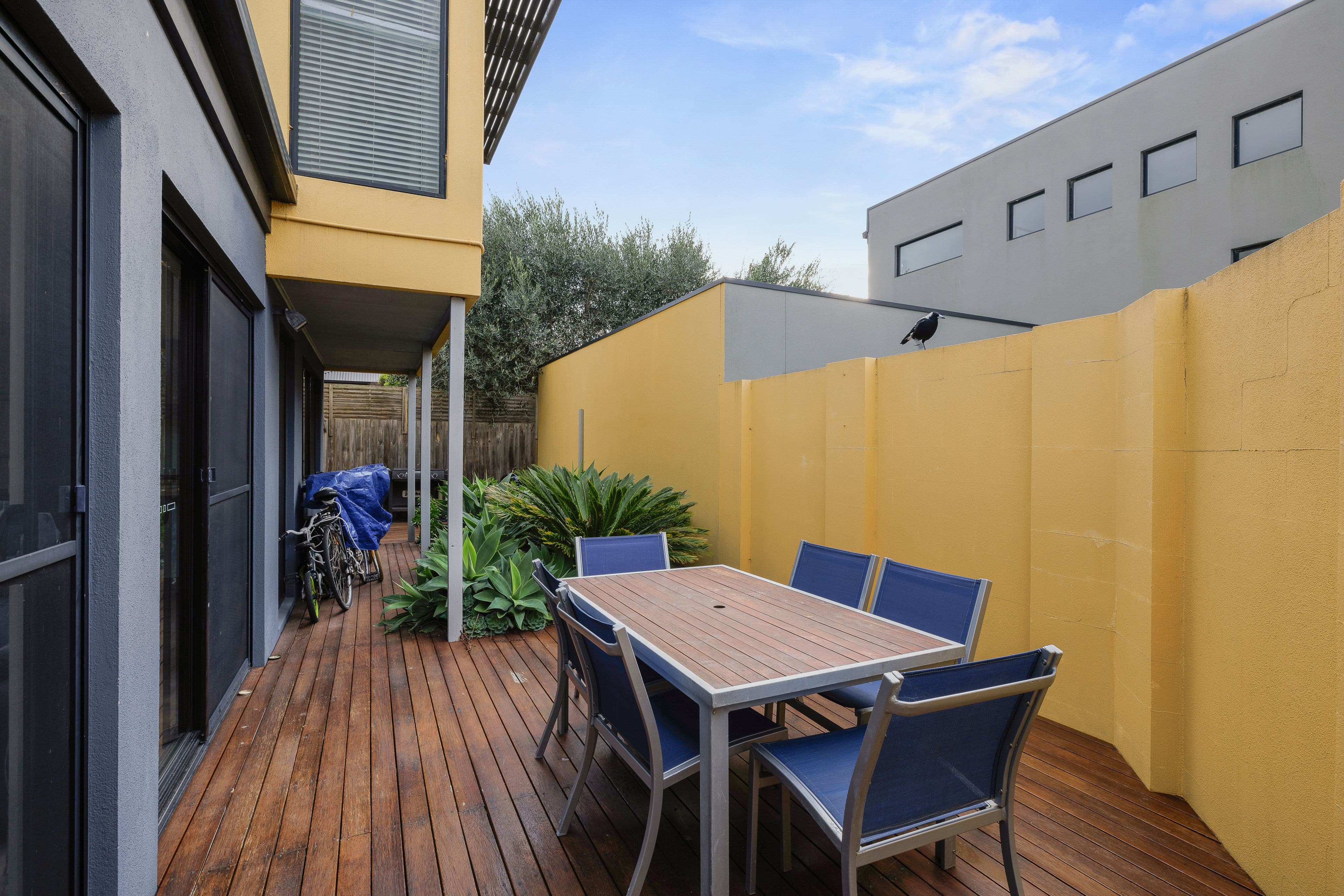 5 Martin Street, Silverleaves VIC 3922, Silverleaves - Thumbnail 5