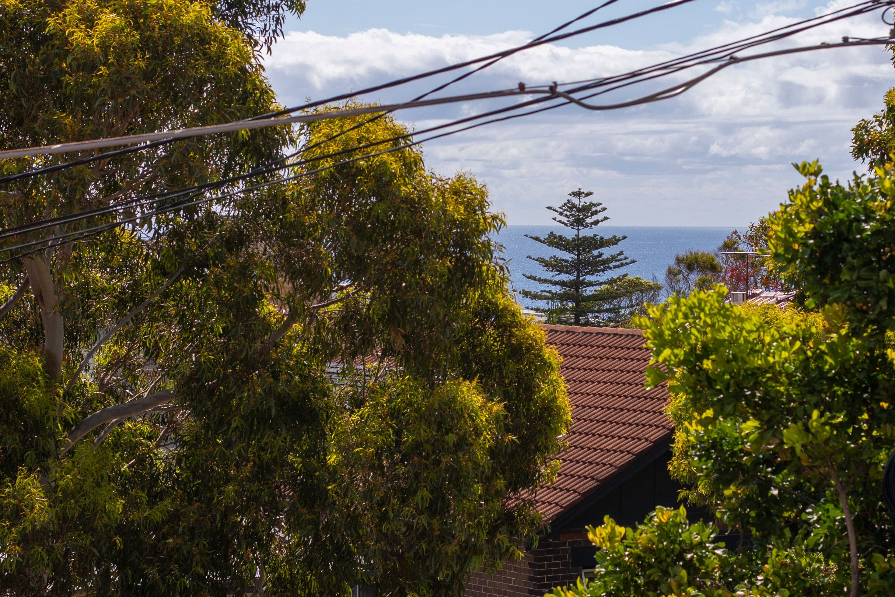 12 Coldstream Street, South Coogee NSW 2034, South Coogee - Thumbnail 5