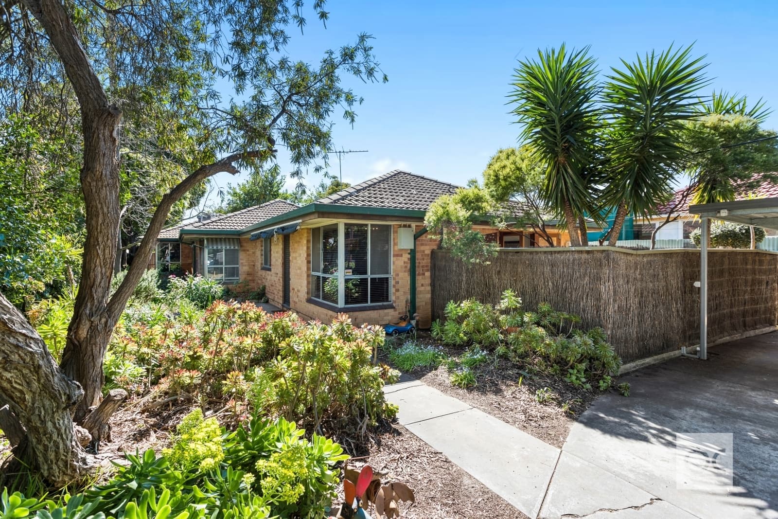 1, 2 & 3/8 Wilkinson Road, Parkside - Image 1