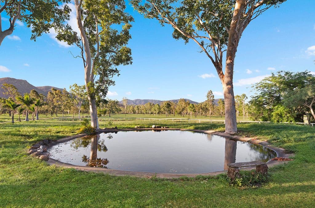 157 Page Road, Hervey Range QLD 4817, Hervey Range - Thumbnail 2