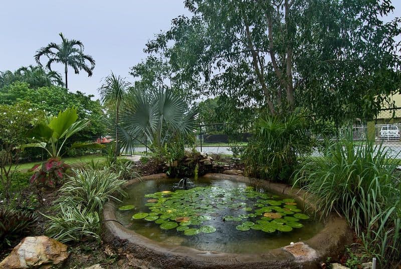 11 Pacqualin Street, MALAK NT 0812, Malak - Thumbnail 5