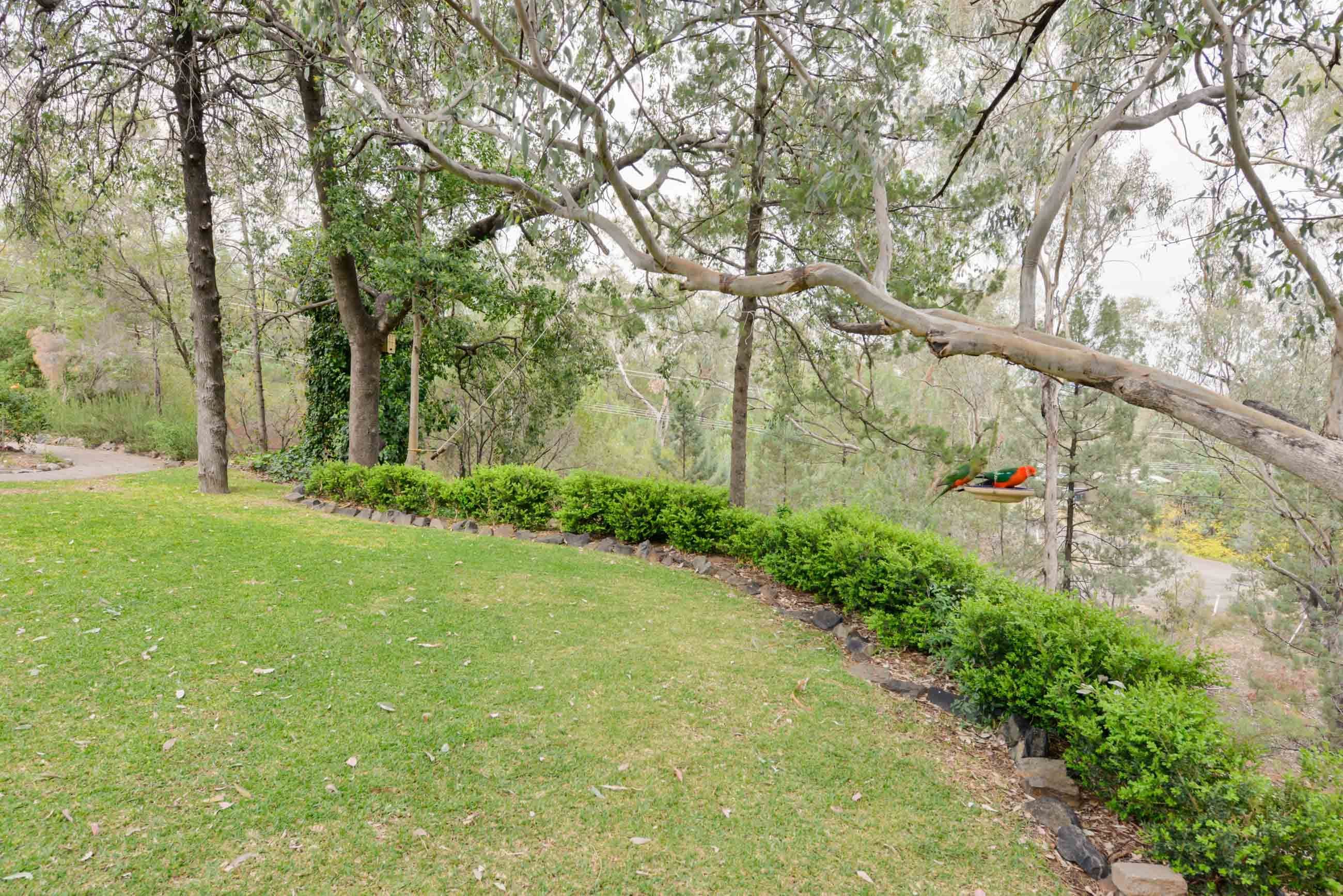 7 Mornington Crescent, Moore Creek - Thumbnail 6
