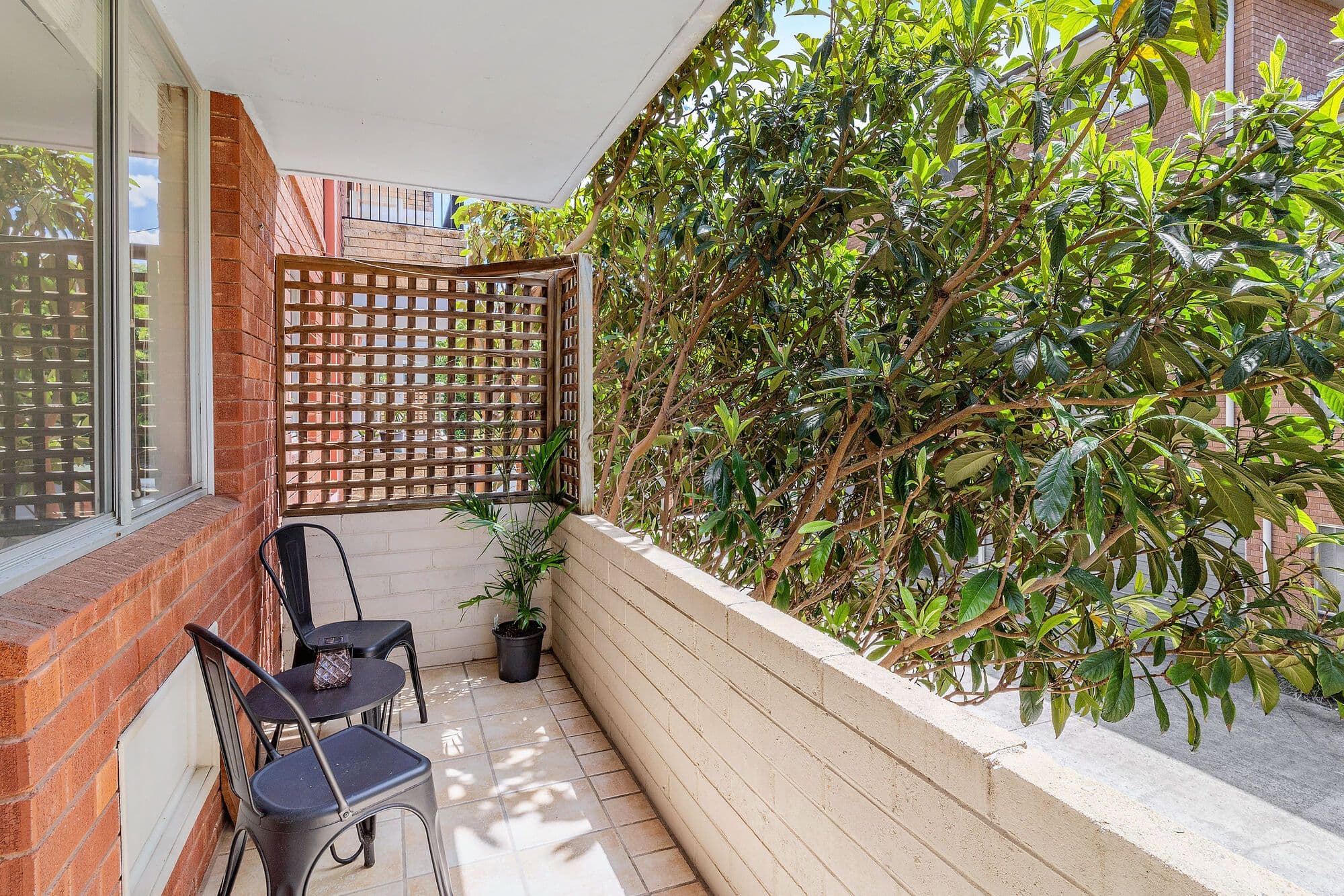 61 Harvey Street, Anglesea, VIC, Anglesea - Thumbnail 6