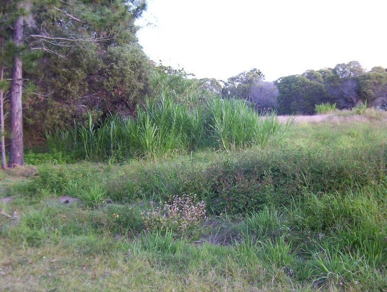 3/30 Labrador Street, Labrador - Thumbnail 2