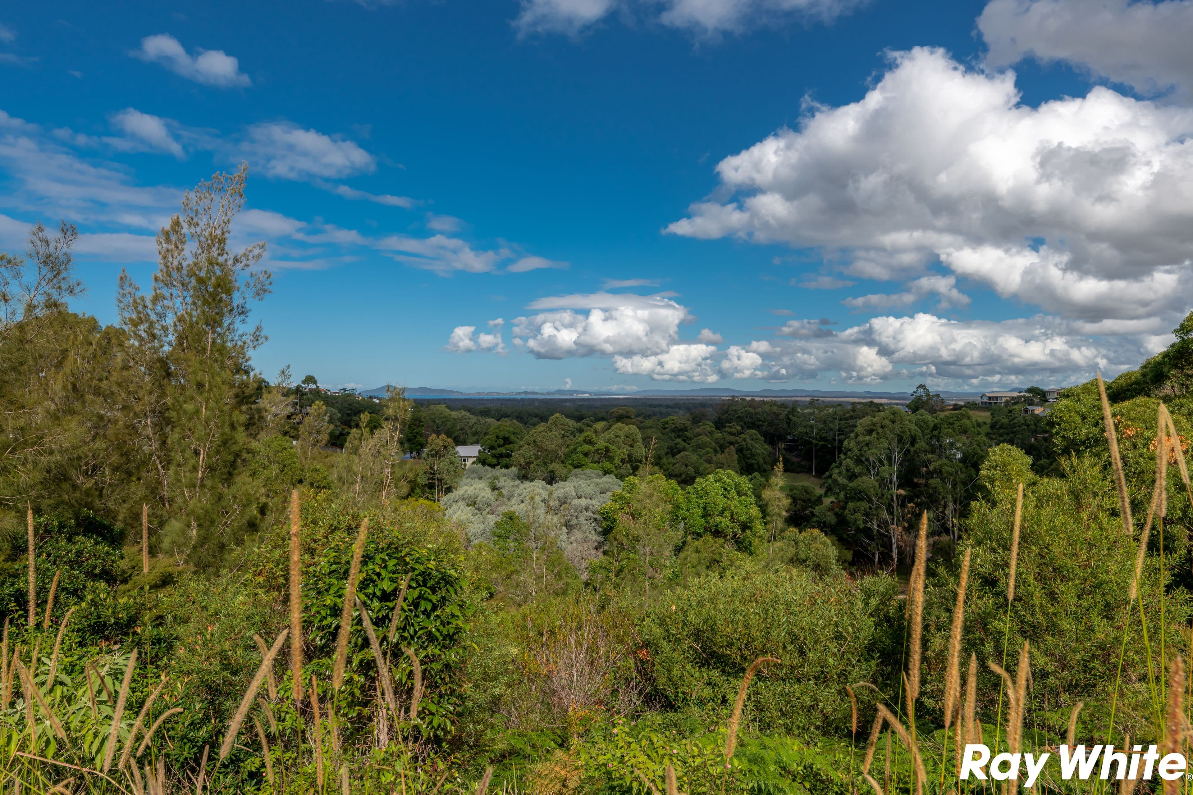 9 Cape View Way, Tallwoods Village NSW 2430, Tallwoods Village - Thumbnail 6