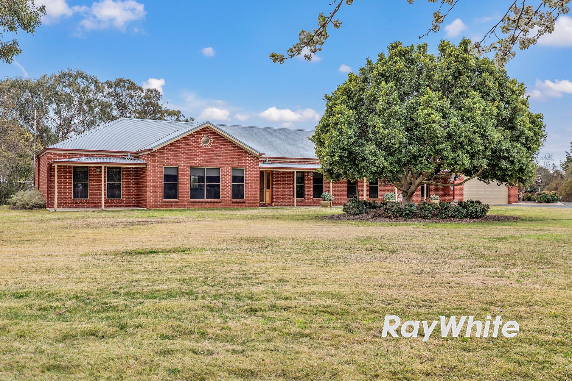 19 Hollara Drive, Moama NSW 2731, Moama - Image 1