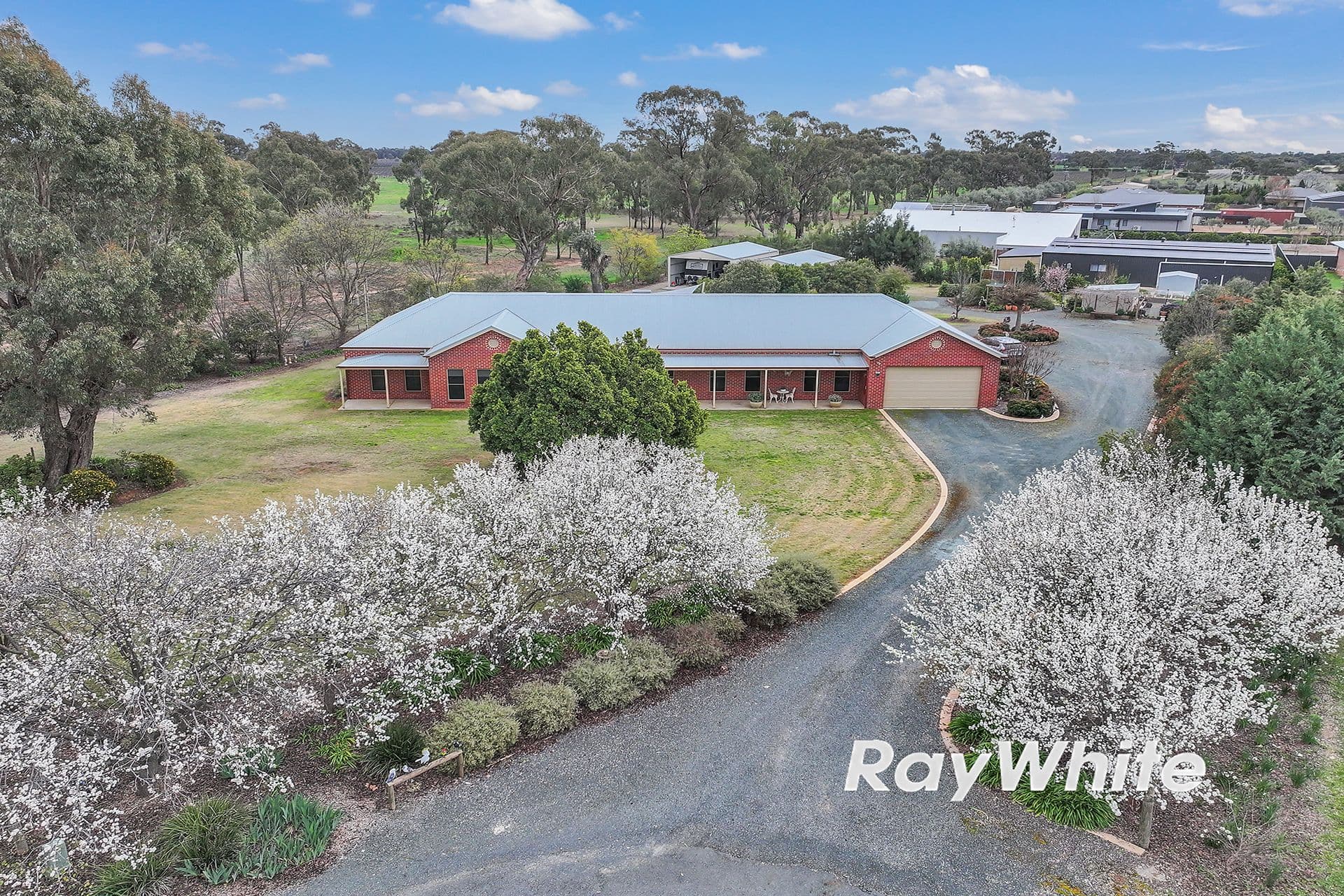19 Hollara Drive, Moama NSW 2731, Moama - Thumbnail 2