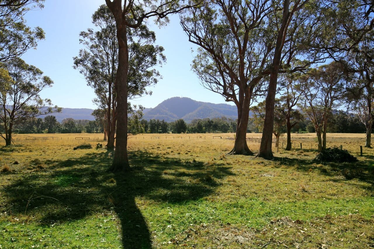 31 West Cambewarra Road, North Nowra - Thumbnail 3