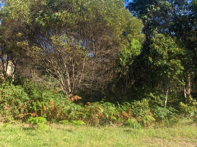 4 Wakehill Road, RUSSELL ISLAND QLD 4184, Russell Island - Image 1