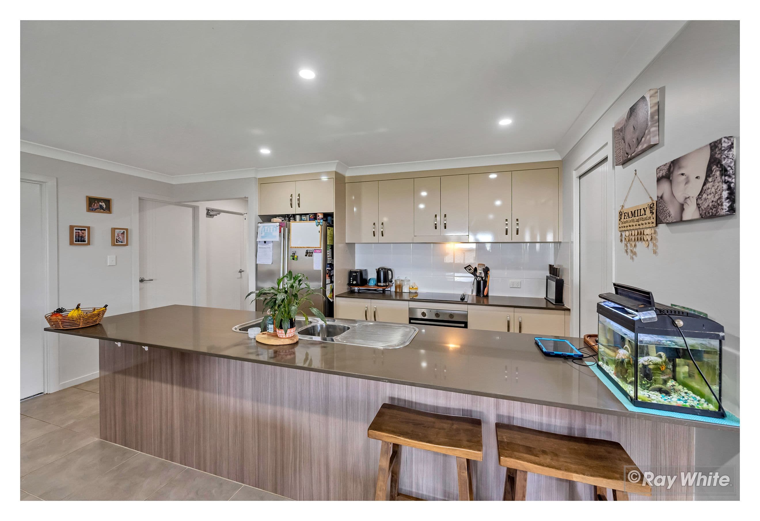45 Wheeler Avenue, Gracemere QLD 4702, Gracemere - Thumbnail 3