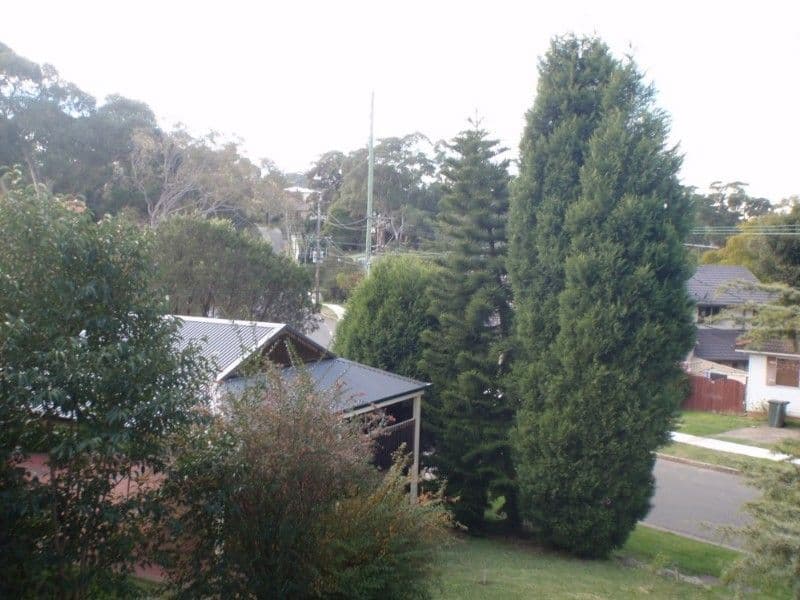109 Marshall Road, CARLINGFORD NSW 2118, Carlingford - Thumbnail 4