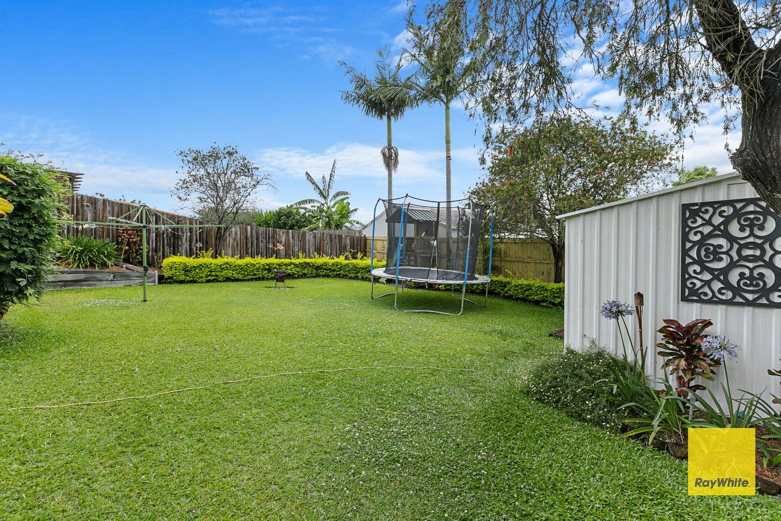 3 Greystoke Place, Alexandra Hills QLD 4161, Alexandra Hills - Thumbnail 8