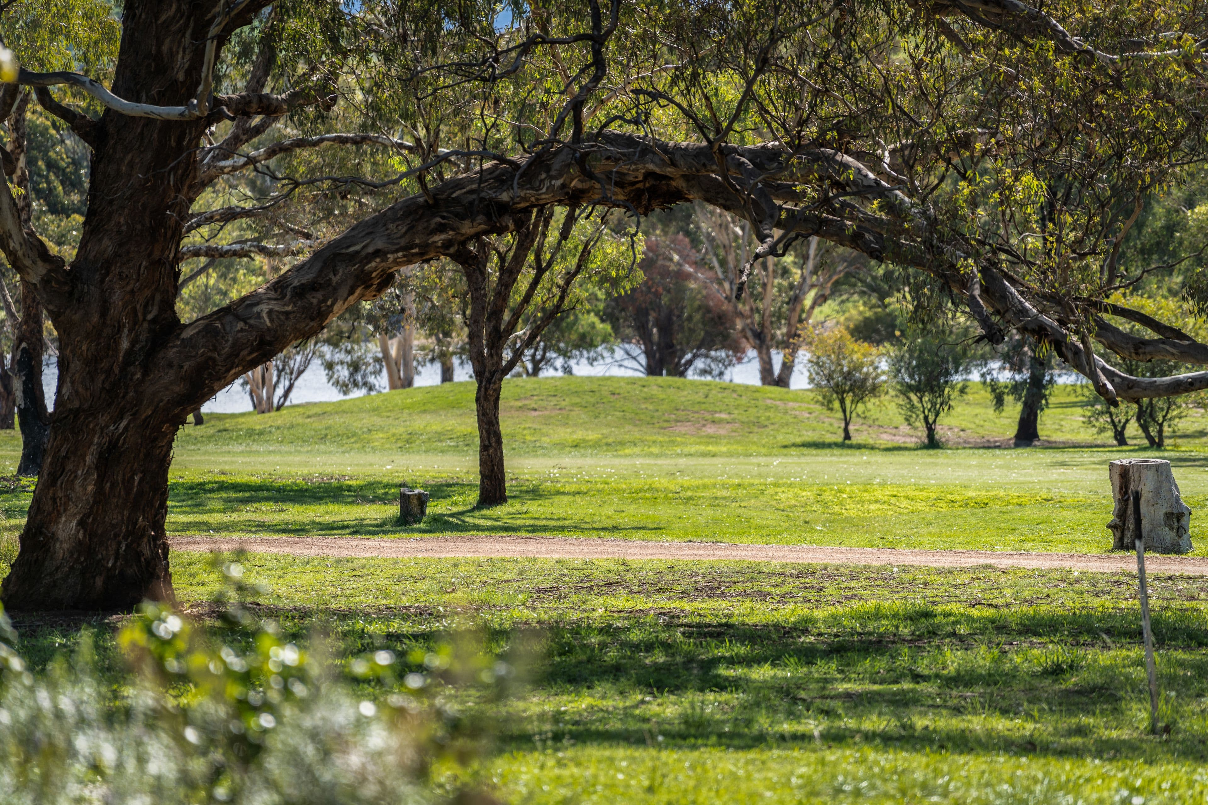 85 Crozier Circuit, Kambah ACT 2902, Kambah - Thumbnail 3