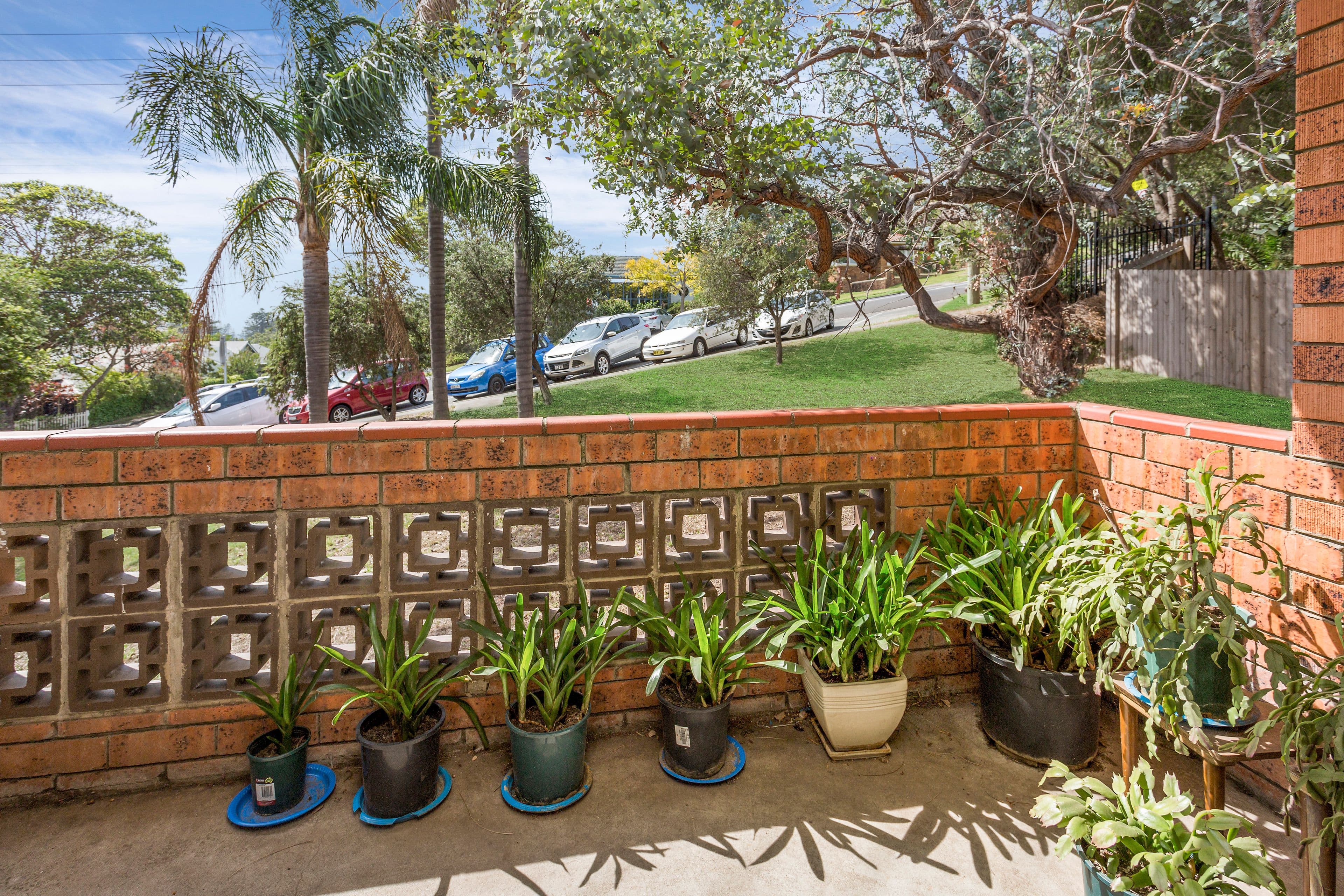 59 Collins Street, Kiama NSW 2533, Kiama - Thumbnail 7