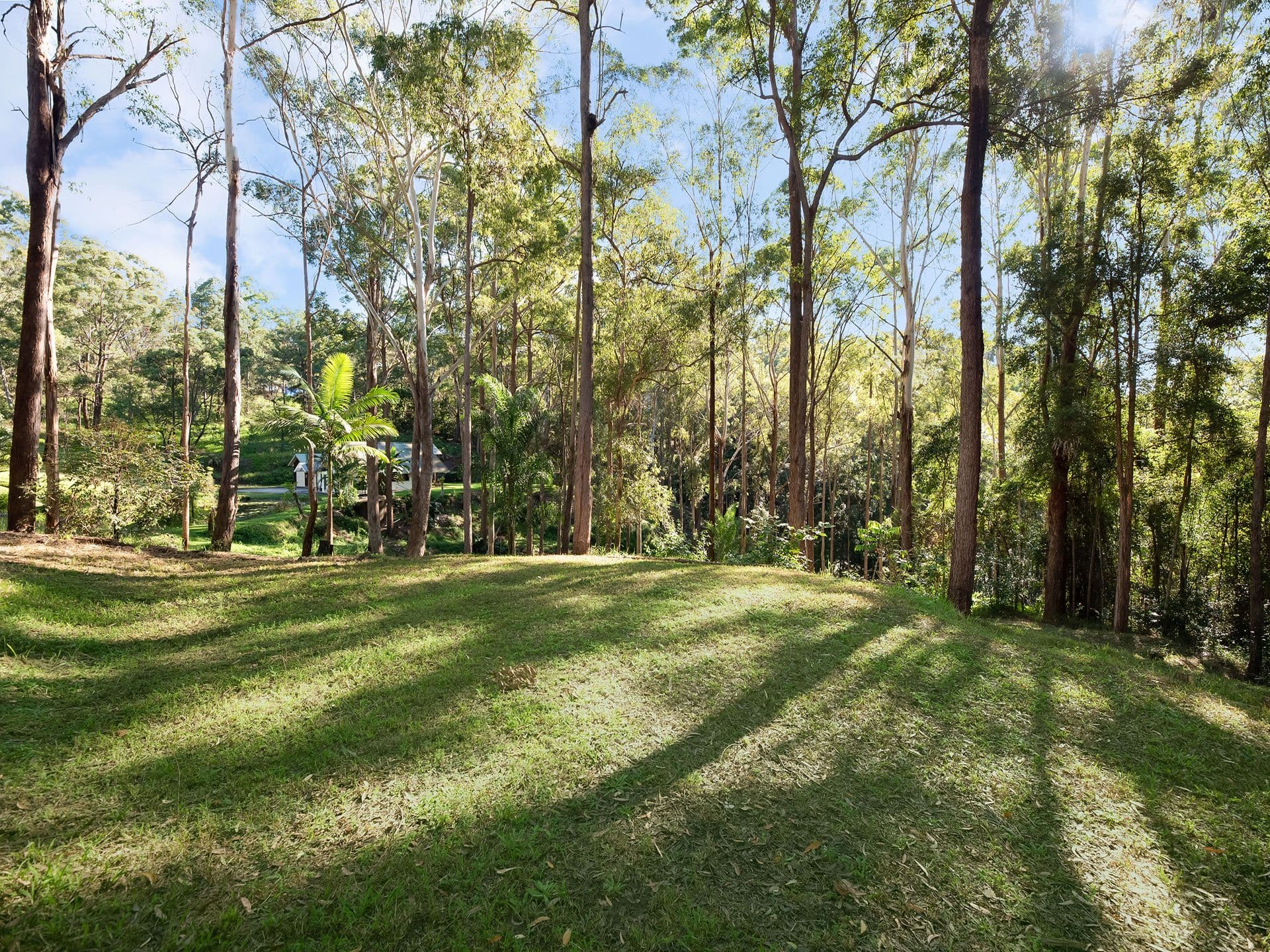 295 Ilkley Road, Ilkley QLD 4554, Ilkley - Thumbnail 4