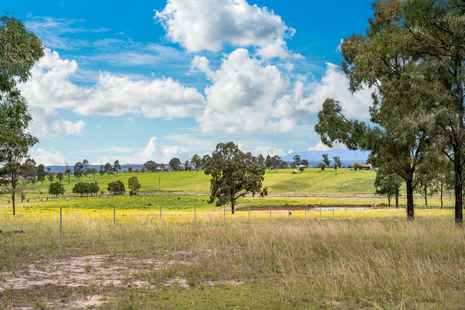 Lot 12 Glendon Road, Singleton NSW 2330, Singleton - Thumbnail 2