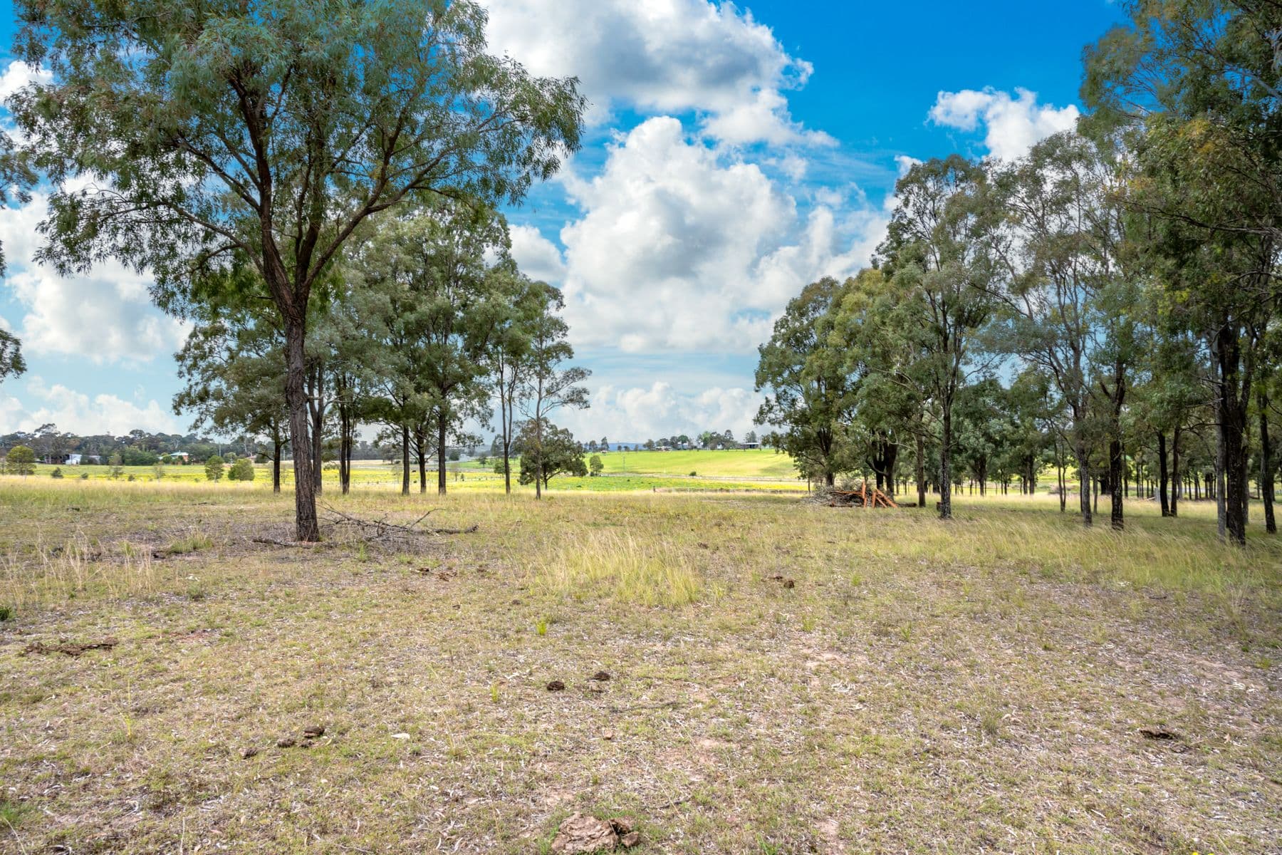 Lot 12 Glendon Road, Singleton NSW 2330, Singleton - Thumbnail 3