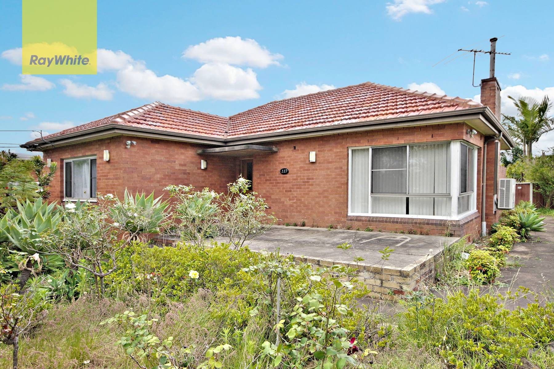 227 Marion Street, Bankstown NSW 2200, Bankstown - Thumbnail 4