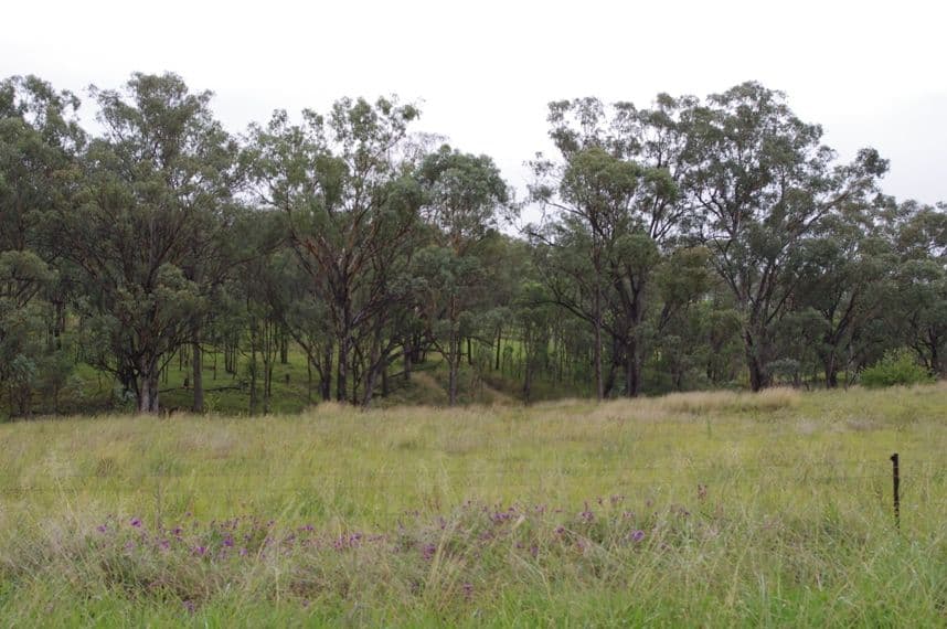 Lot 3 Doncaster Drive, INVERELL NSW 2360, Inverell - Thumbnail 4