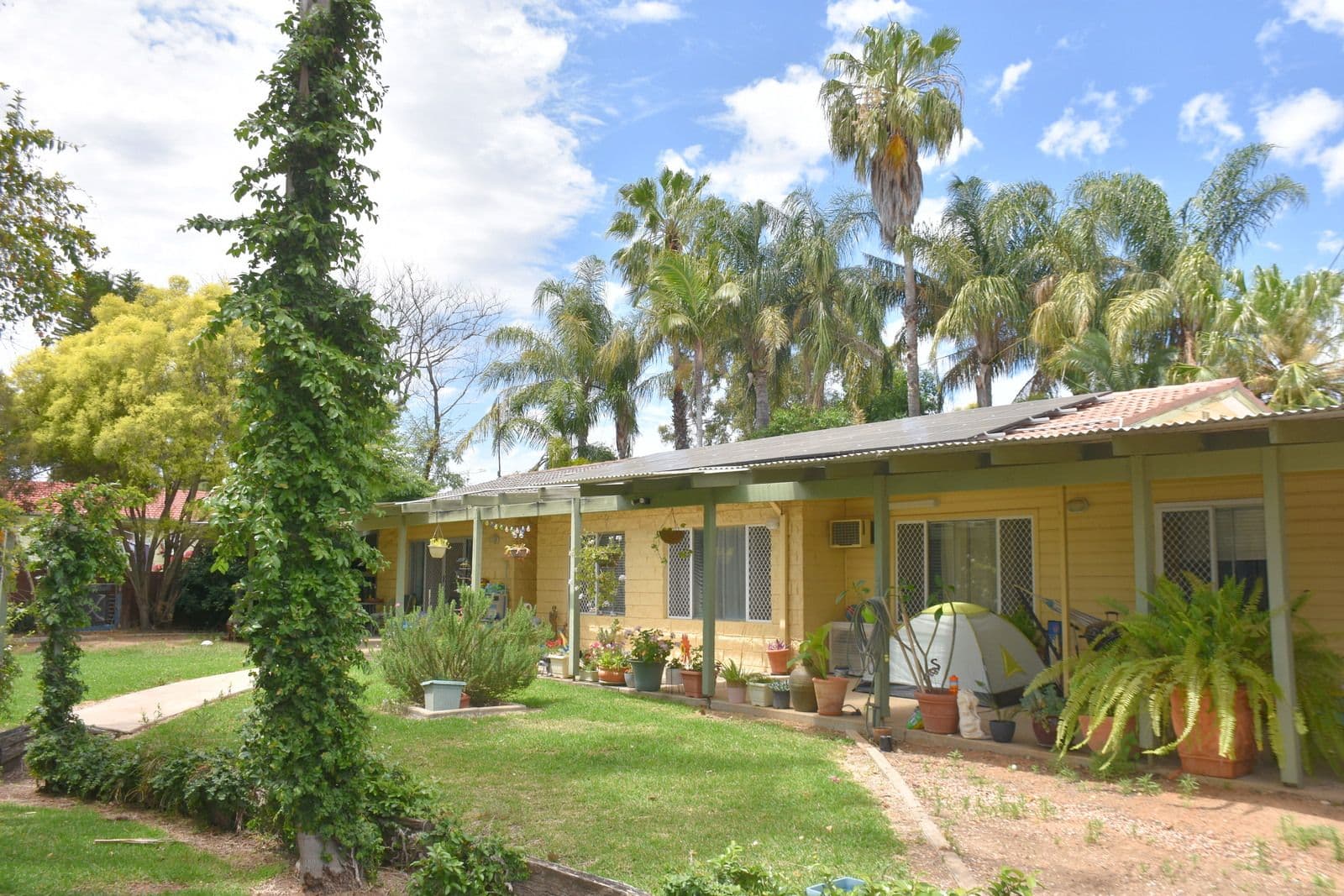 5 Cameron Place, Moree NSW 2400, Moree - Thumbnail 2