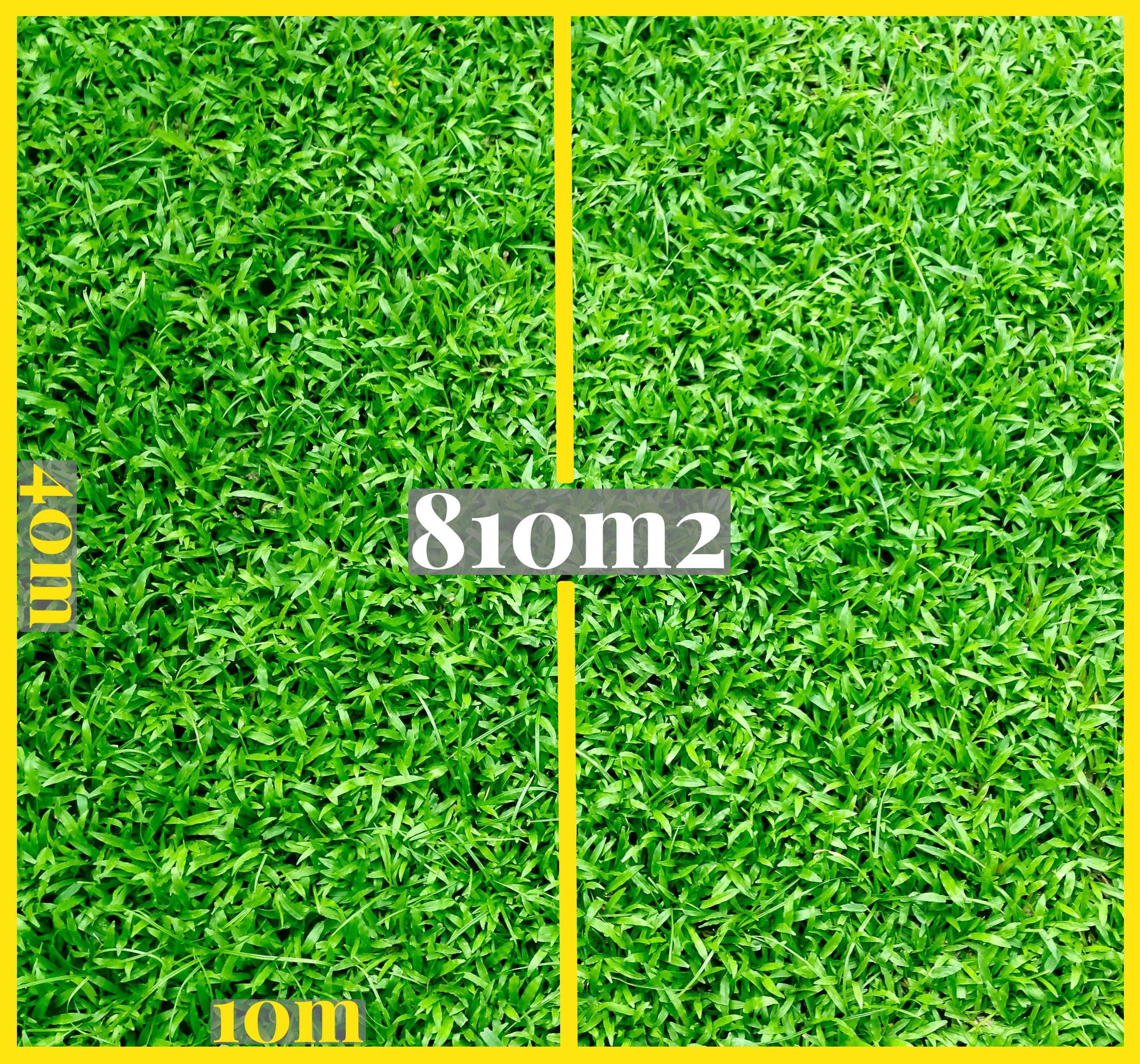 24 Halcomb Street, Zillmere QLD 4034, Zillmere - Image 1