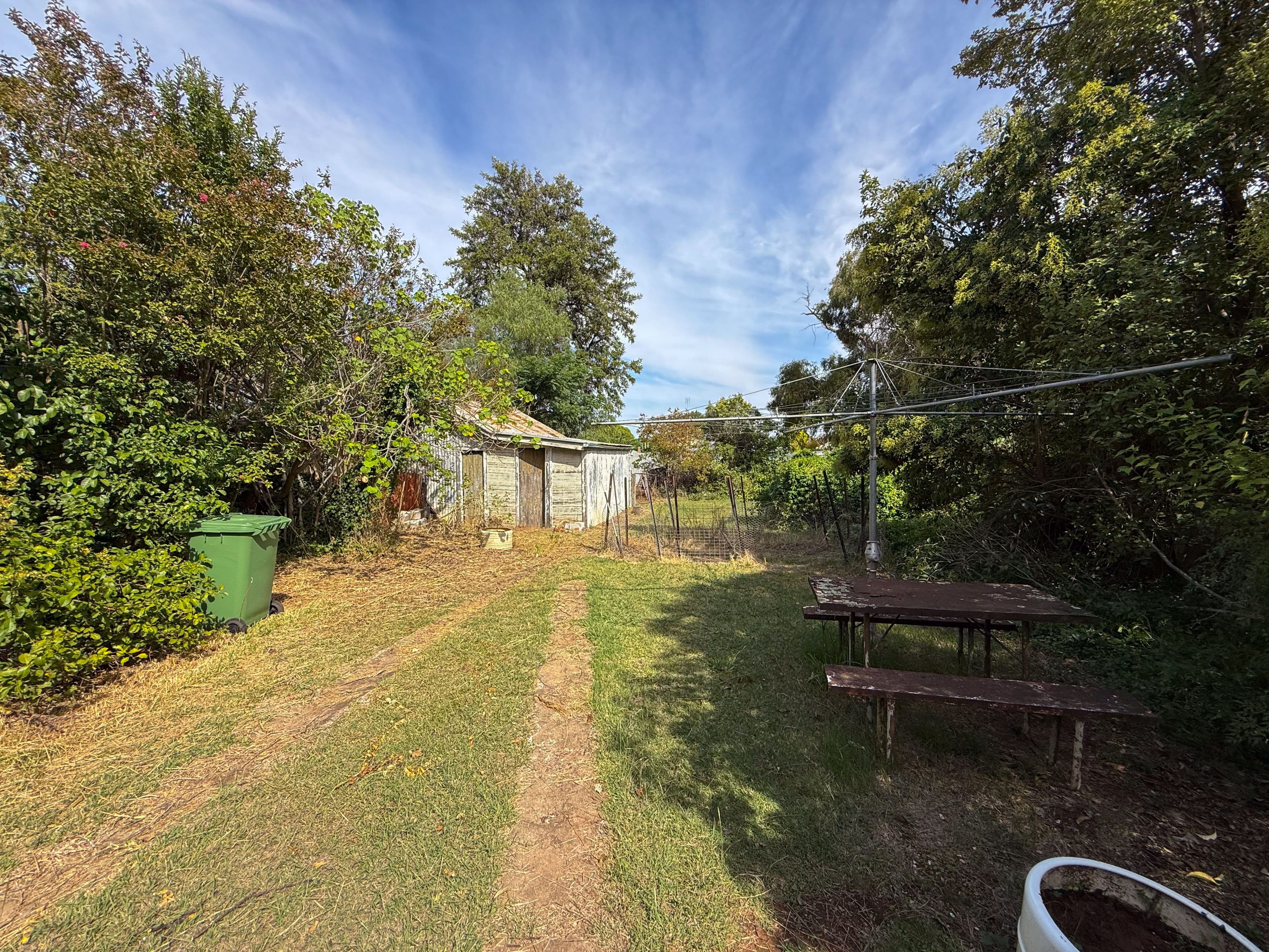 31 William Street, Forbes NSW 2871, Forbes - Thumbnail 4