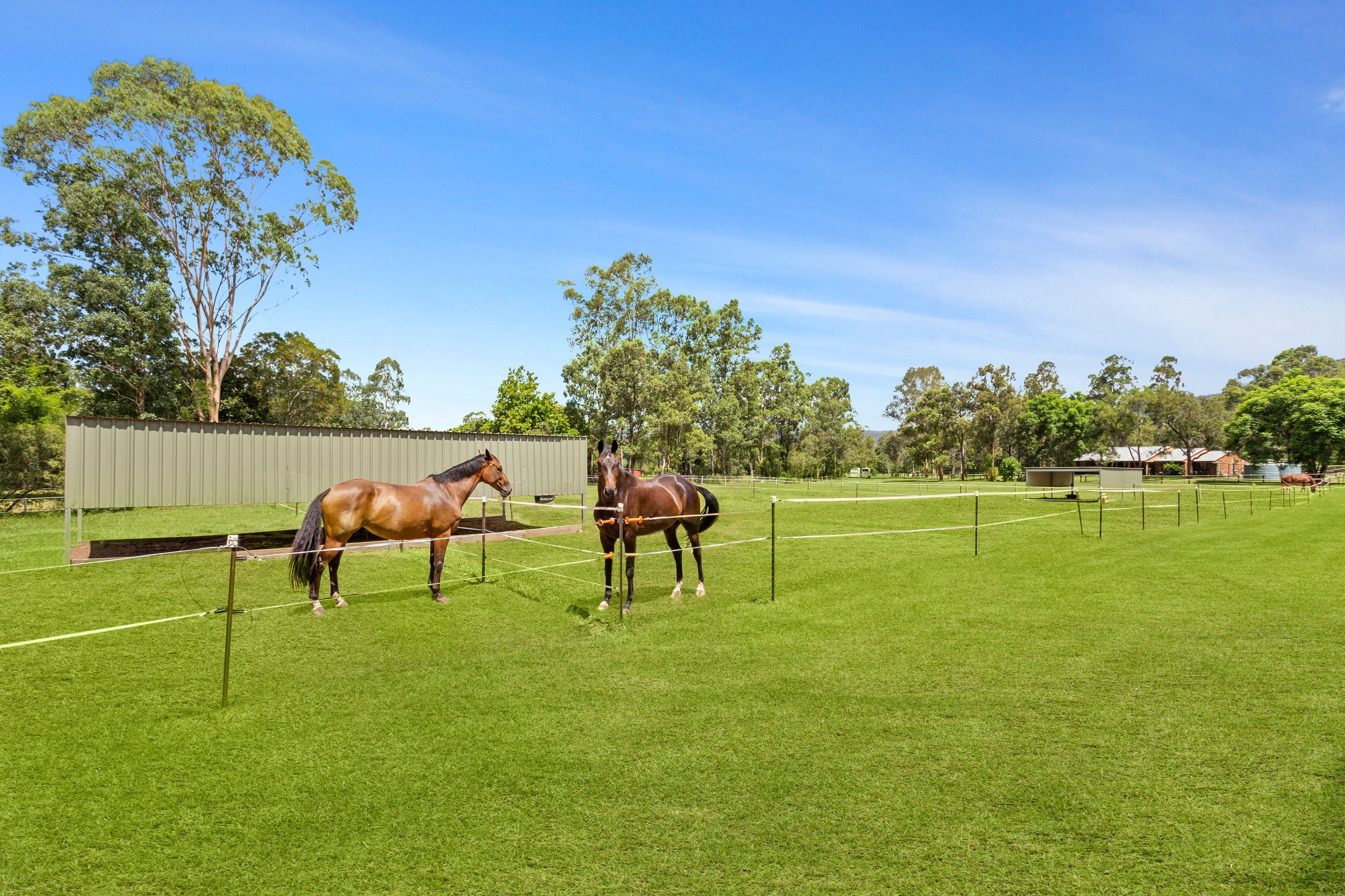 5 Kadanga Court, Highvale QLD 4520, Highvale - Thumbnail 7
