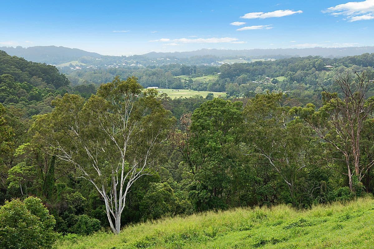 606 Blackall Range Road, West Woombye QLD 4559, West Woombye - Image 1