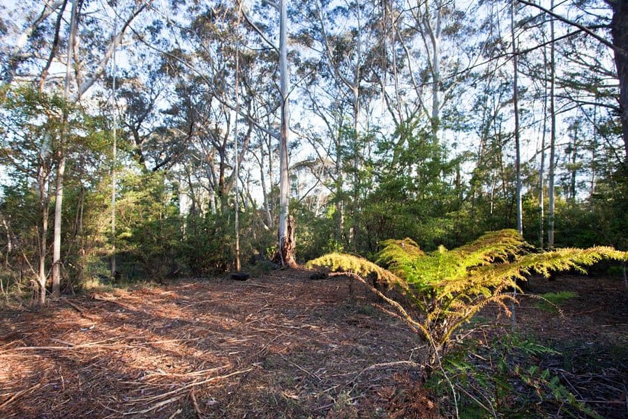30 - 32 Rutland Road, MEDLOW BATH NSW 2780, Medlow Bath - Image 1