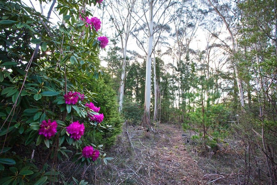 30 - 32 Rutland Road, MEDLOW BATH NSW 2780, Medlow Bath - Thumbnail 6