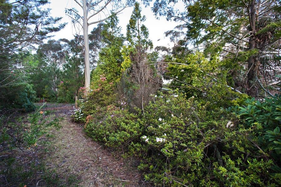 30 - 32 Rutland Road, MEDLOW BATH NSW 2780, Medlow Bath - Thumbnail 7