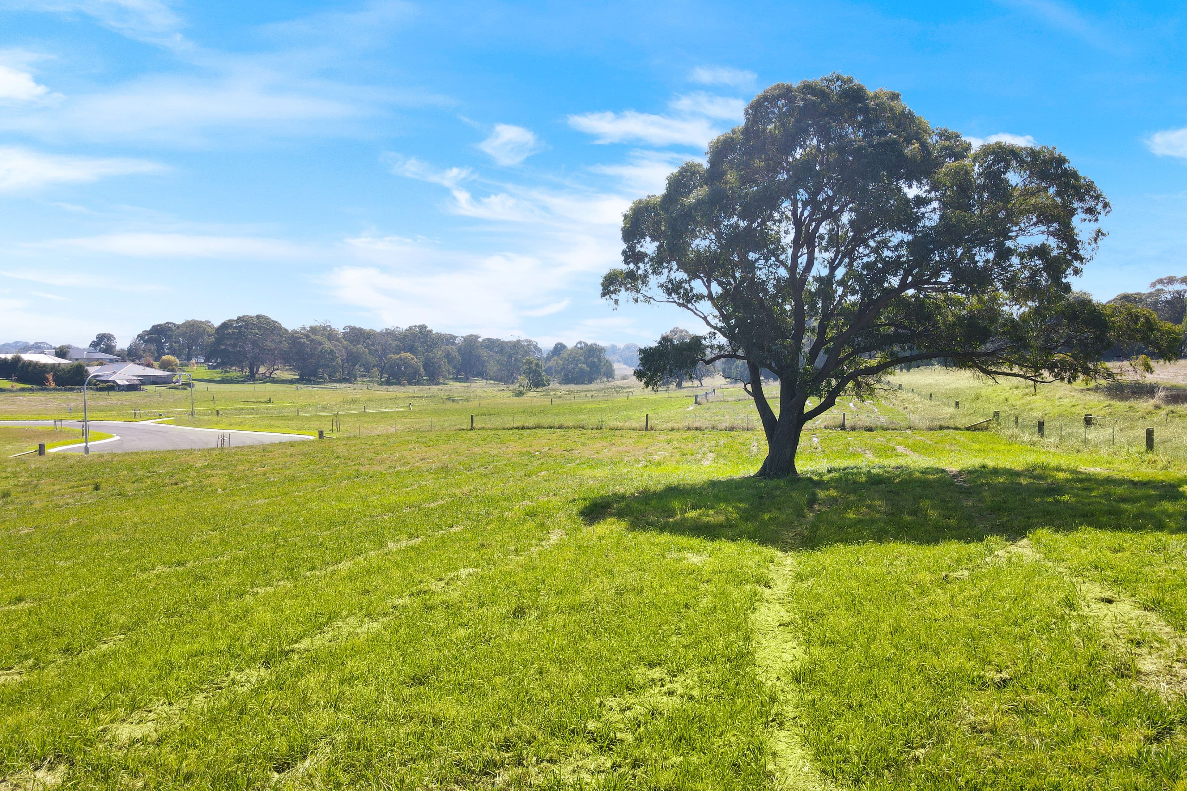 19 Hazelton Drive, Moss Vale NSW 2577, Moss Vale - Thumbnail 4