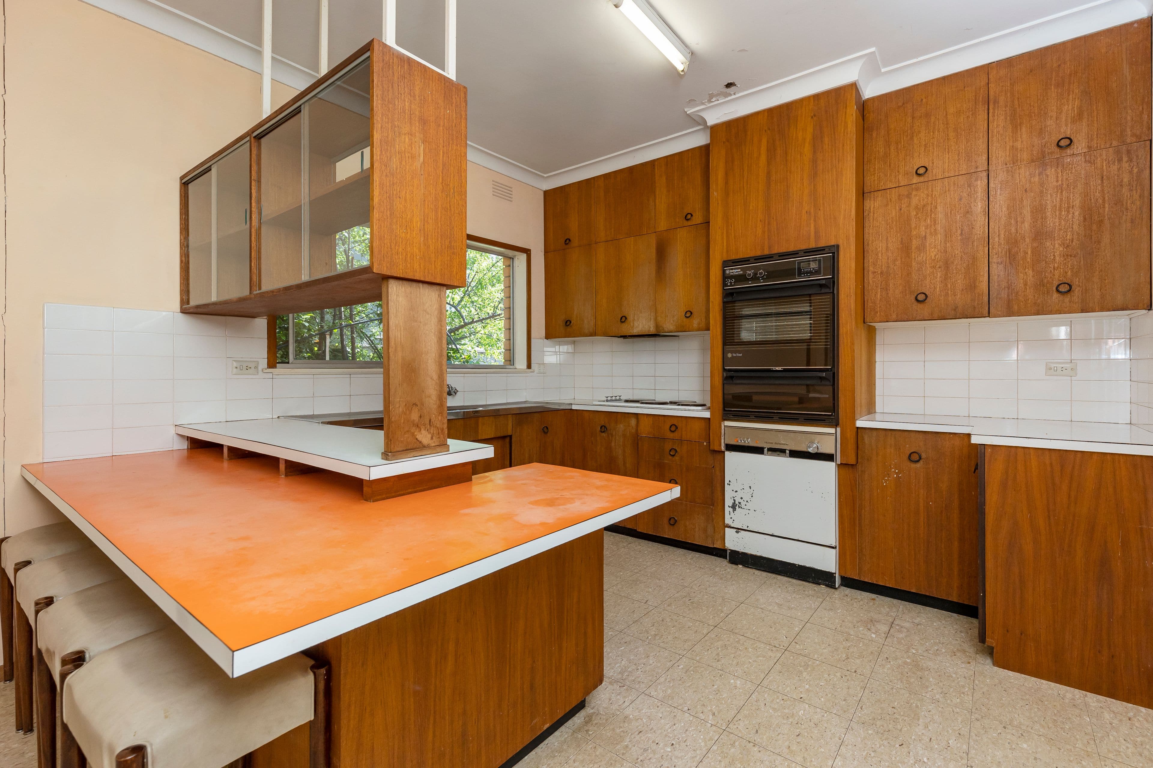 16 White Avenue, Kooringal NSW 2650, Kooringal - Thumbnail 6