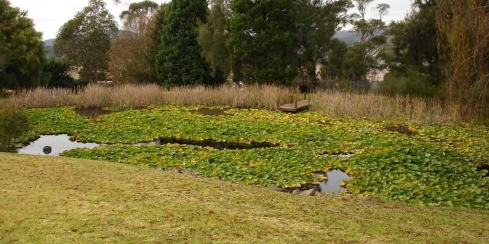 291 Wombeyan Caves Road Mittagong, Mittagong - Thumbnail 4