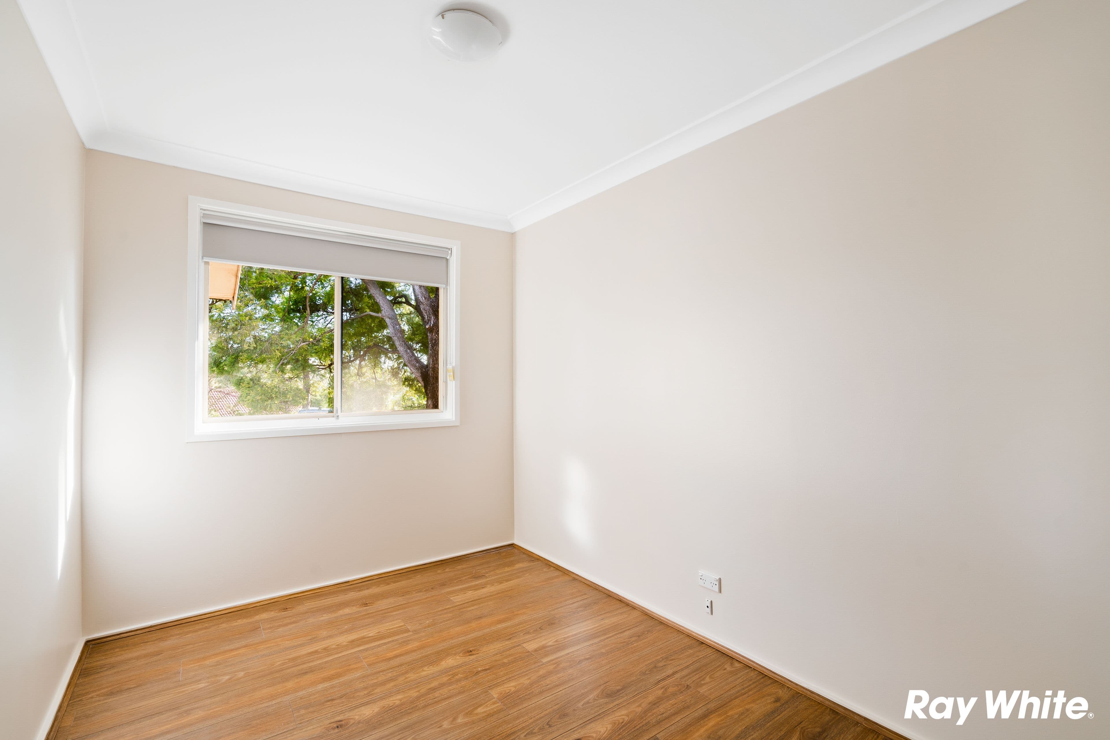 13 Lea Street, Quakers Hill NSW 2763, Quakers Hill - Thumbnail 5