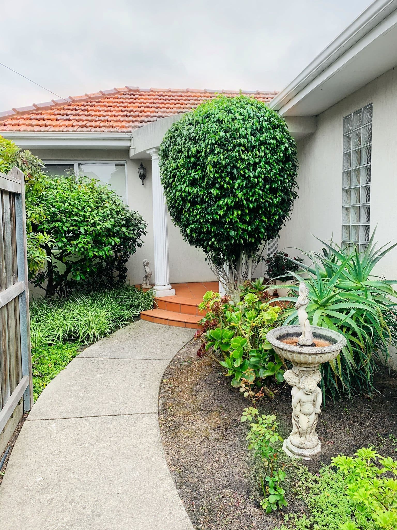 3 Williams Street, Mentone VIC 3194, Mentone - Thumbnail 3