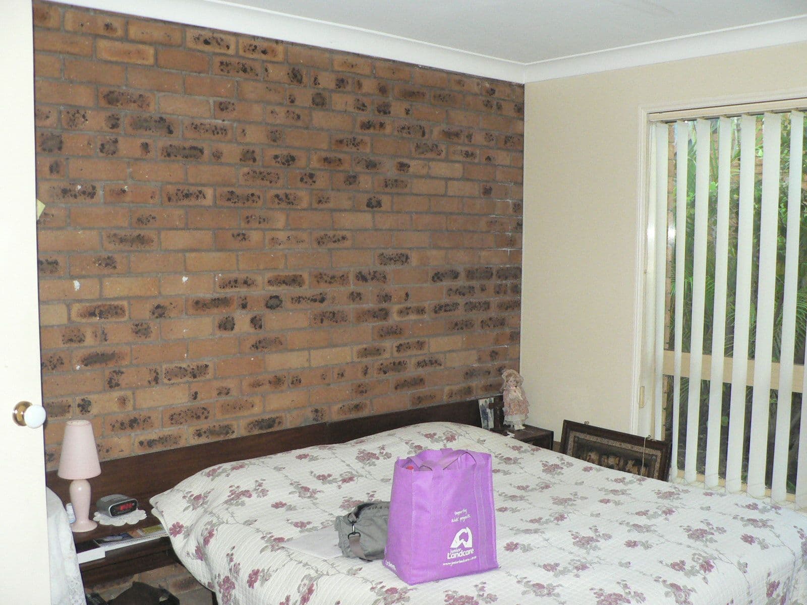 257 Gowan Road, SUNNYBANK HILLS QLD 4109, Sunnybank Hills - Thumbnail 4