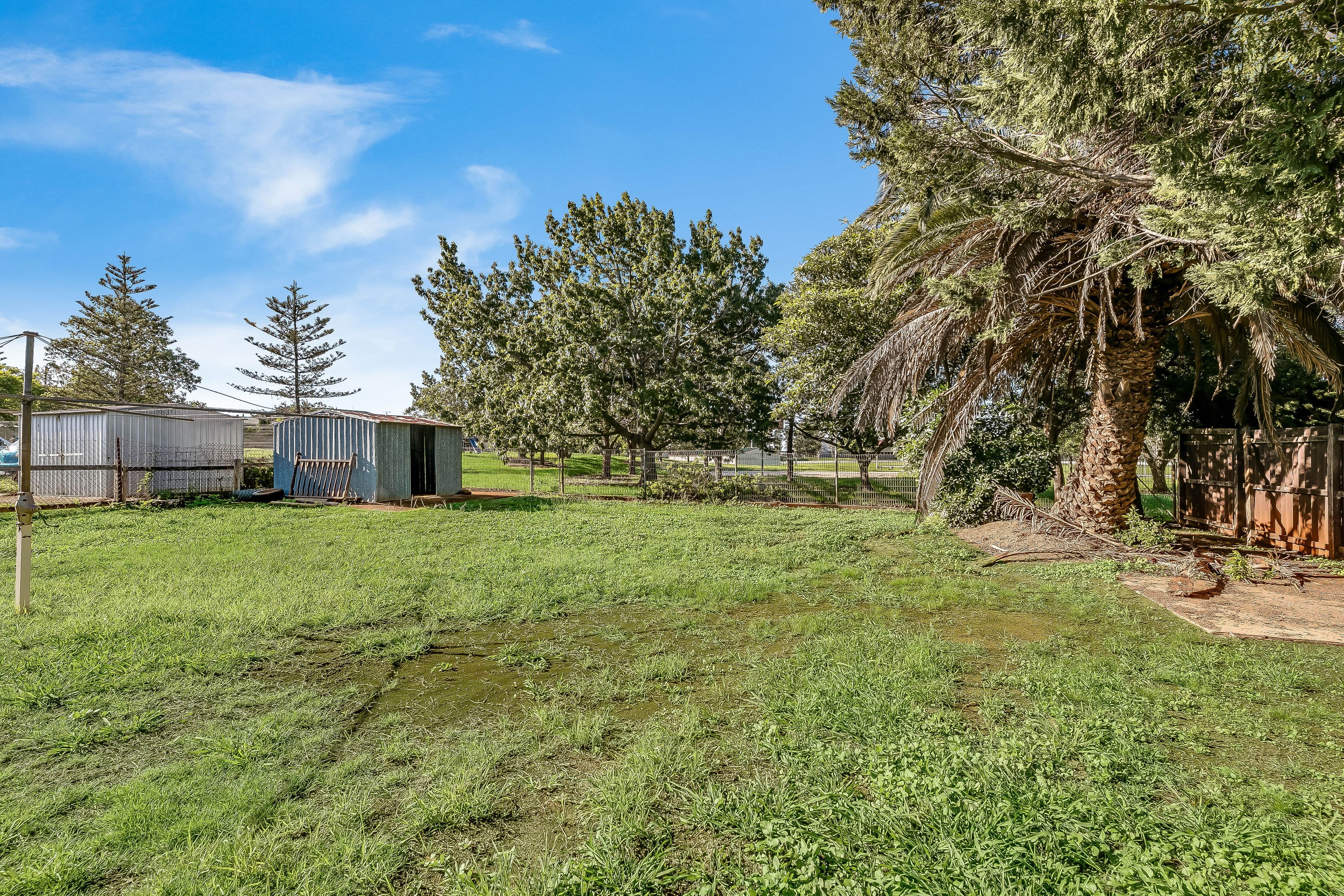 239 North Street, Wilsonton Heights QLD 4350, Wilsonton Heights - Thumbnail 6
