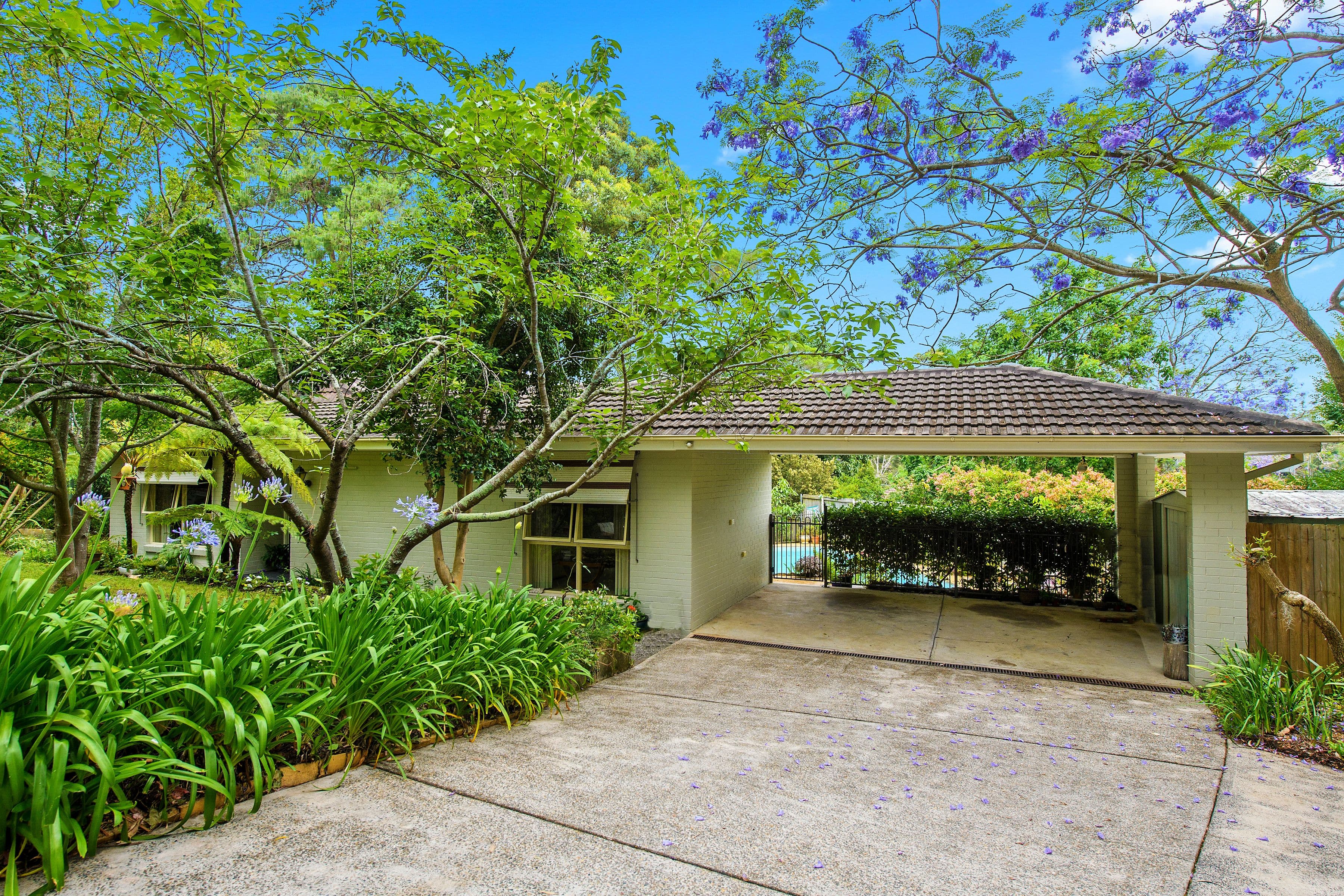 36a Osborn Road, Normanhurst NSW 2076, Normanhurst - Image 1