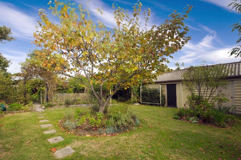 21 Muir Street, FRANKSTON SOUTH VIC 3199, Frankston - Thumbnail 5
