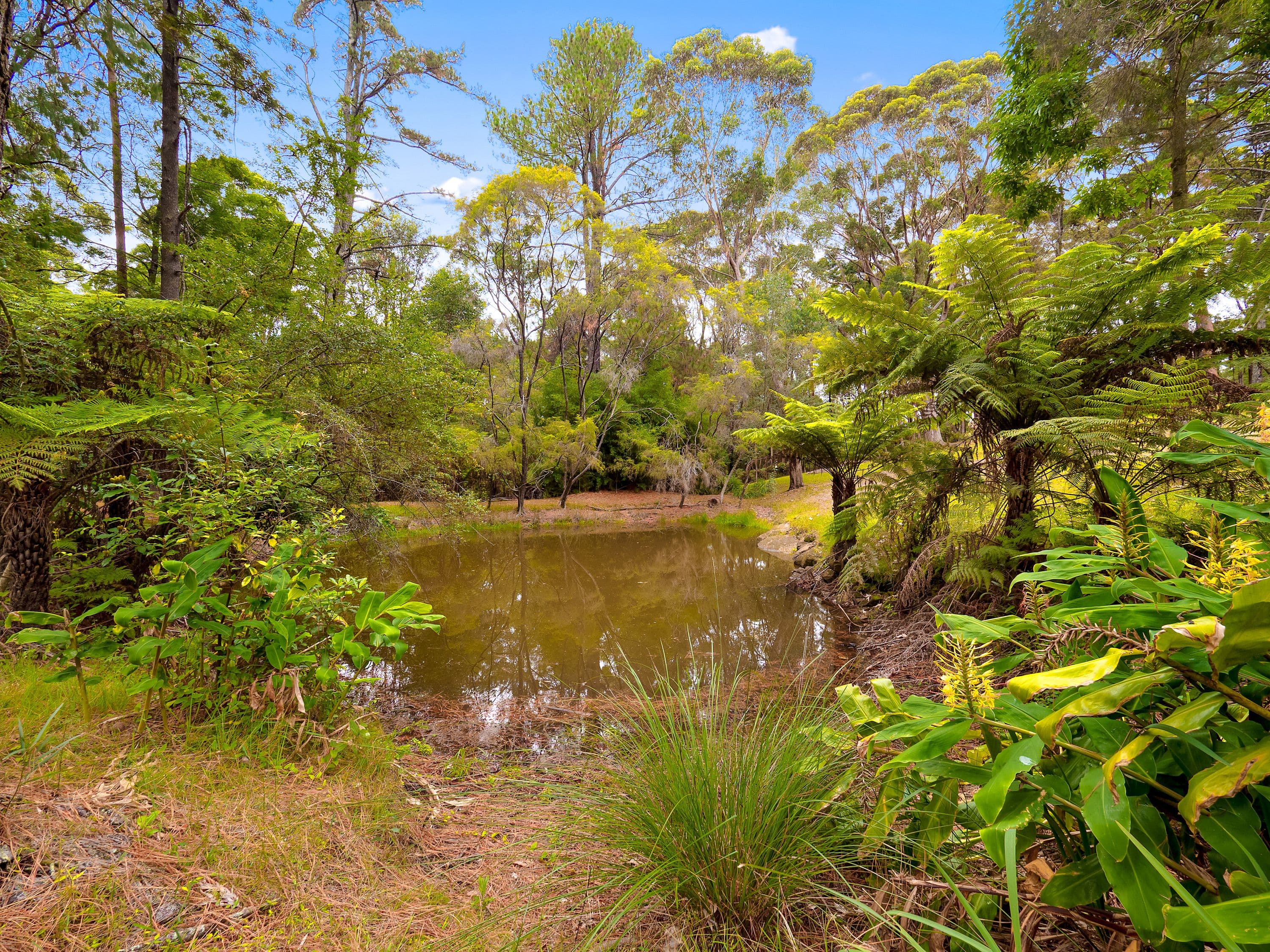 127 Warks Hill Road, Kurrajong Heights - Thumbnail 2