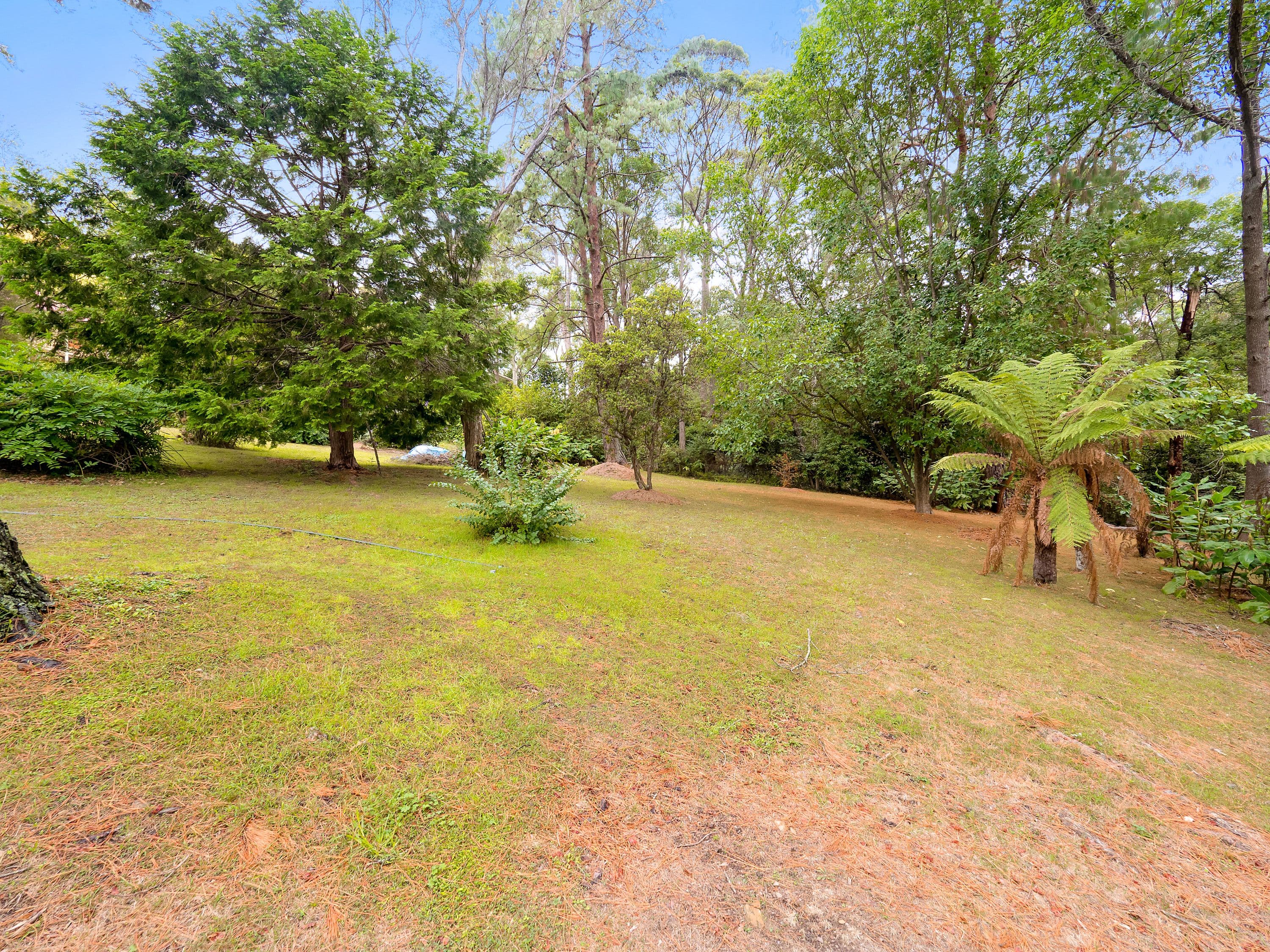 127 Warks Hill Road, Kurrajong Heights - Thumbnail 7