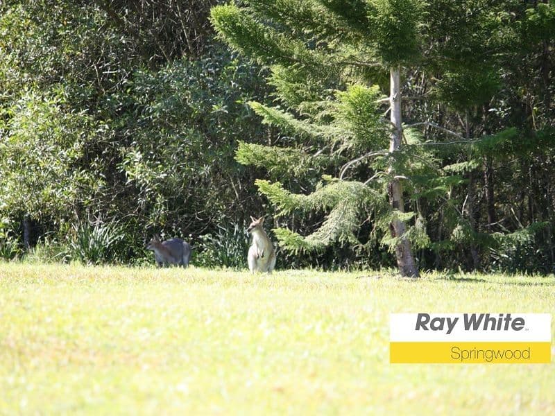 19 Lynette Way, Daisy Hill QLD 4127, Daisy Hill - Thumbnail 6