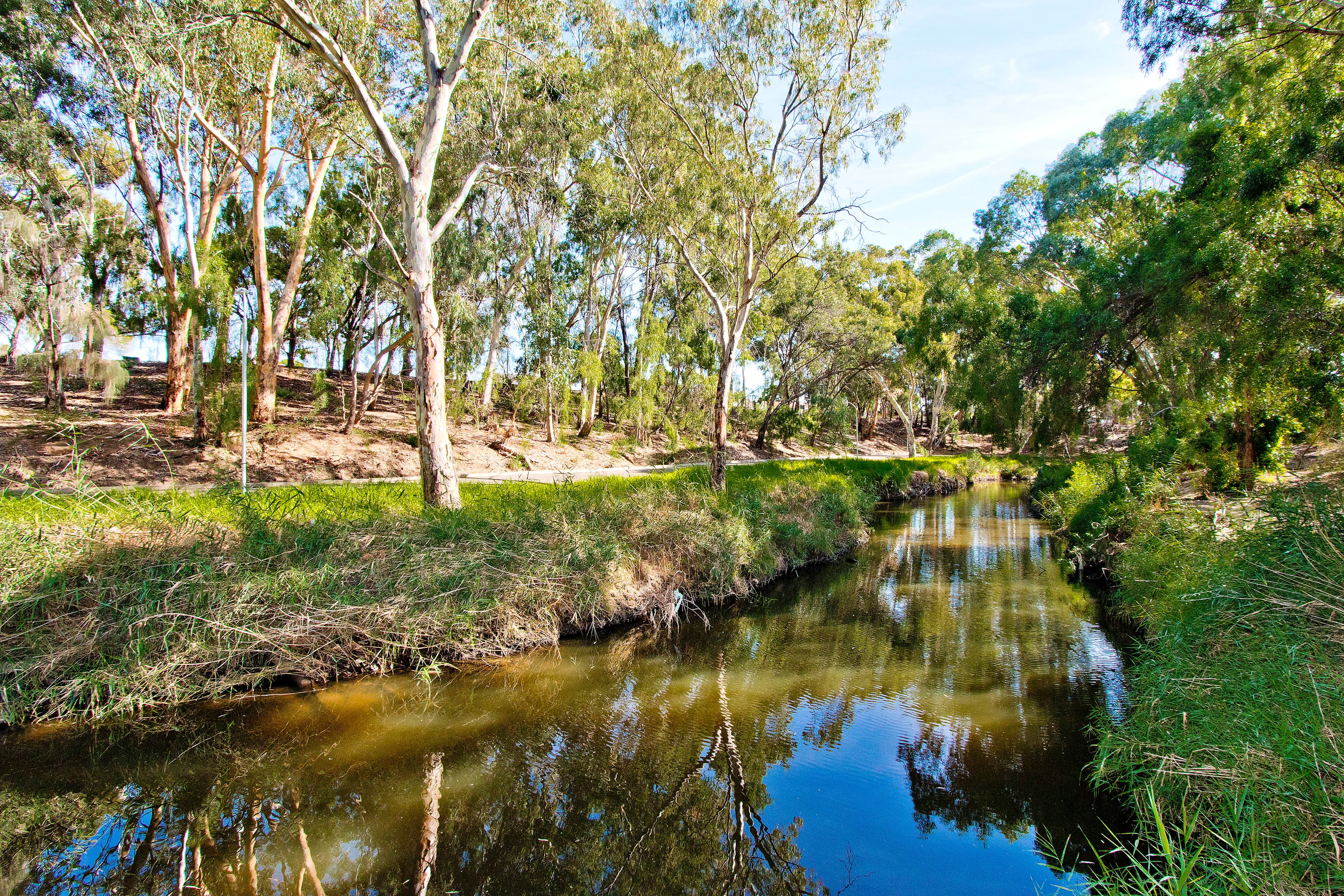 9A Broadmore Avenue, Fulham SA 5024, Fulham - Thumbnail 7